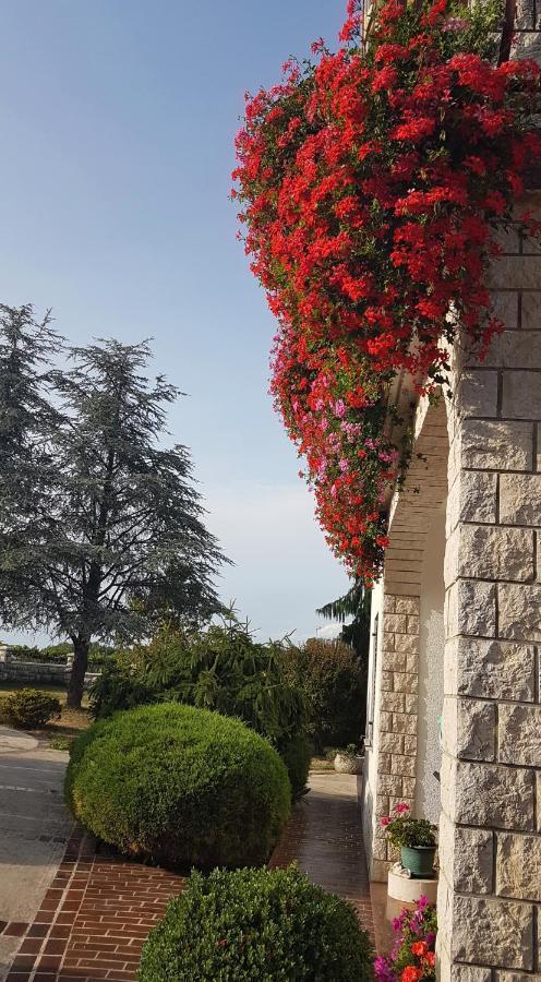 Holiday Apartment Villa Bianca 파진 외부 사진